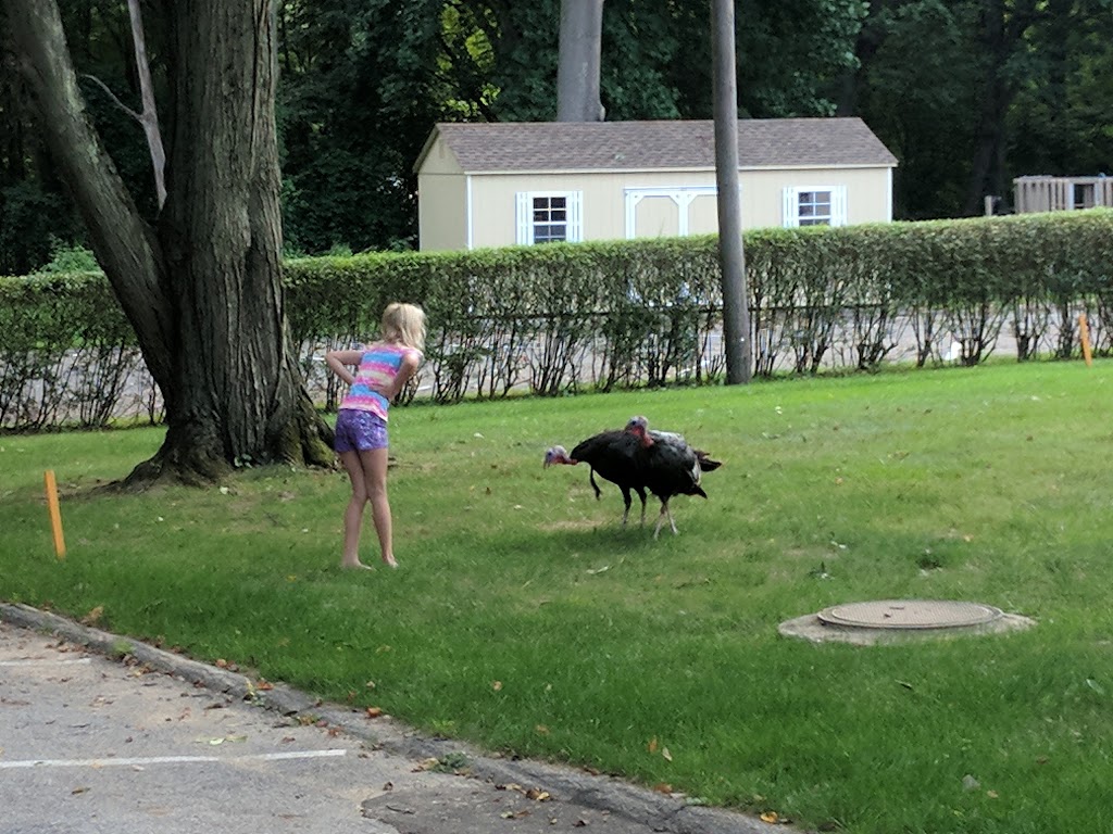 St. Johns Lutheran Church | 884 Newfield Ave, Stamford, CT 06905, USA | Phone: (203) 322-0066