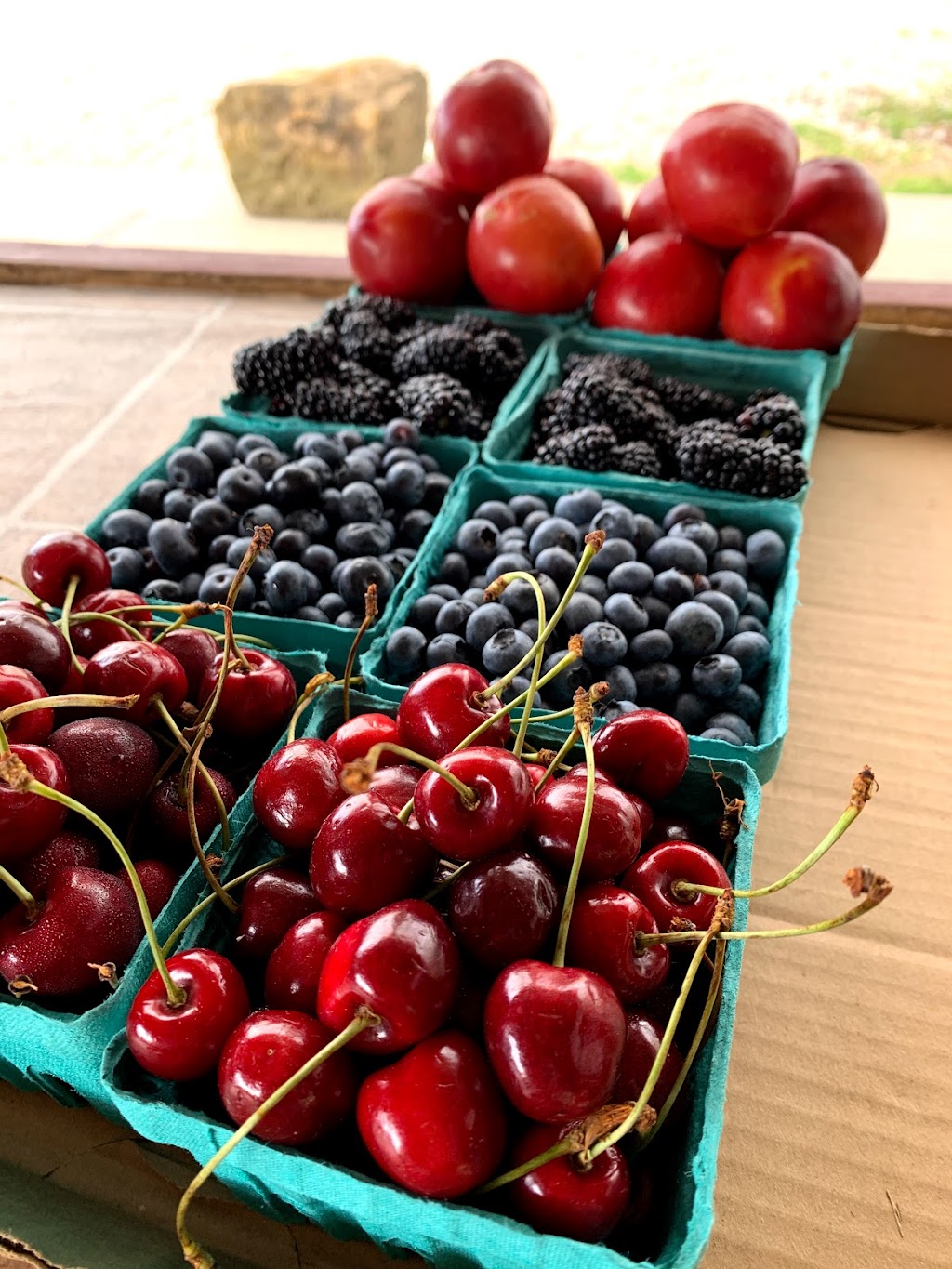 Fowl’s Farm Market | 43655 Telegraph Rd, Elyria, OH 44035, USA | Phone: (440) 737-3695