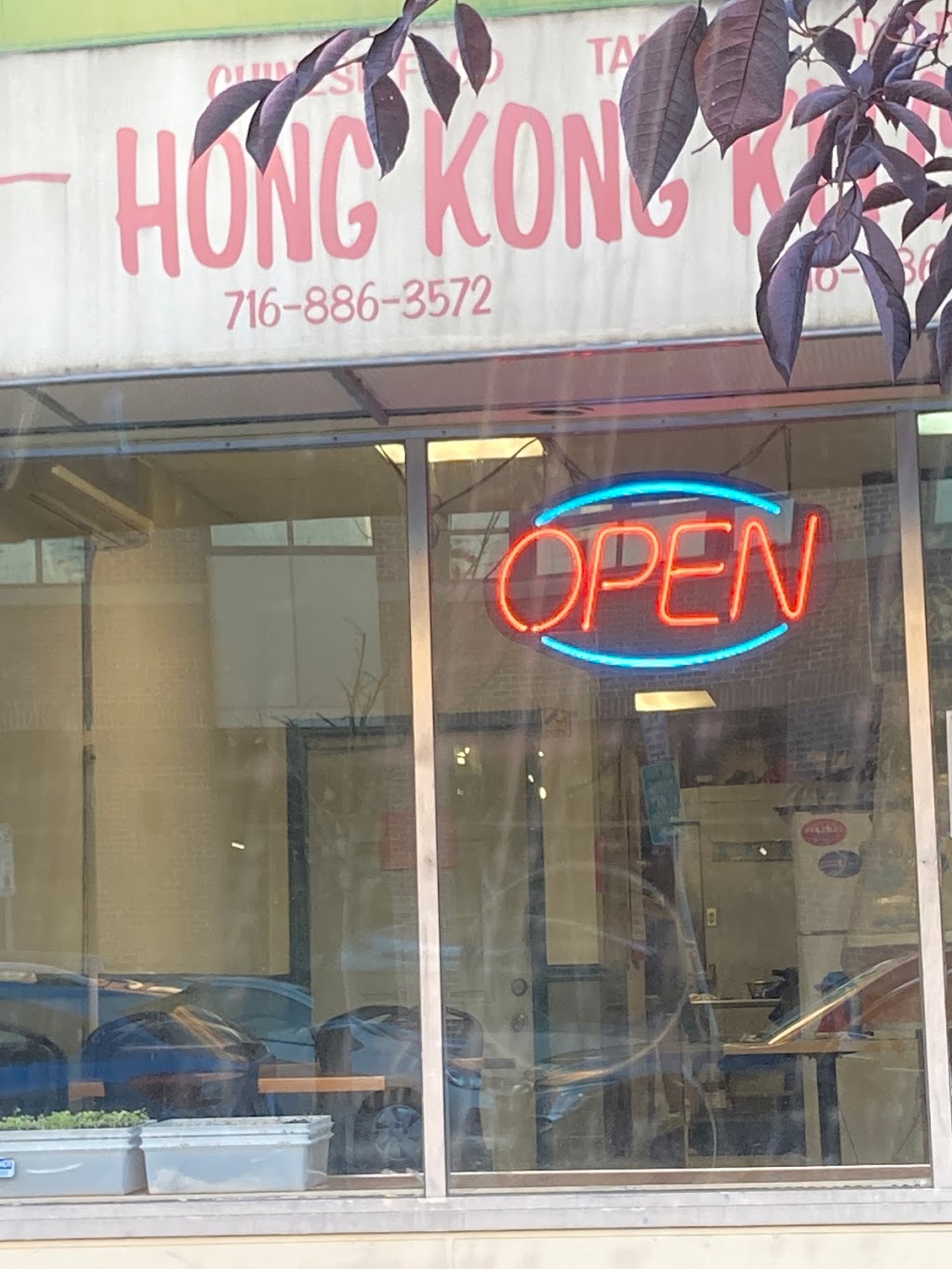 Hong Kong Kitchen | 1120 Elmwood Ave, Buffalo, NY 14222, USA | Phone: (716) 886-3572