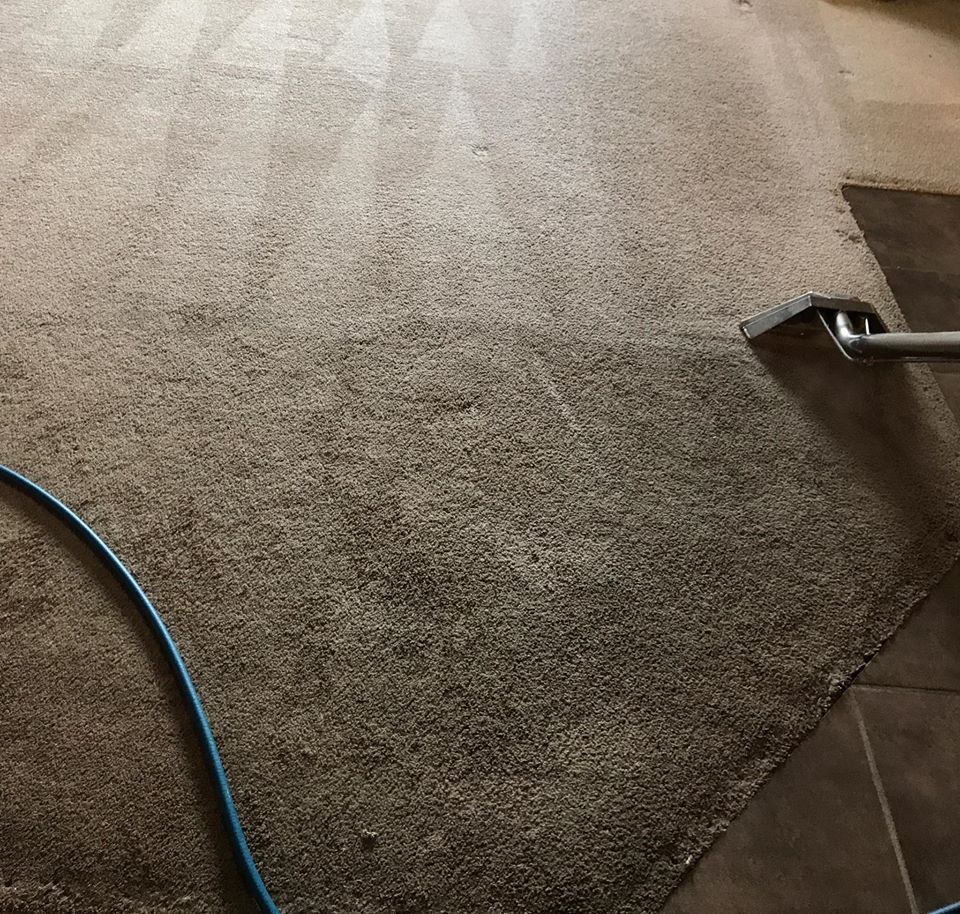 NOVA CARPET & WINDOW CLEANING | 12155 N Piney Lake Rd, Parker, CO 80138, USA | Phone: (720) 305-2446