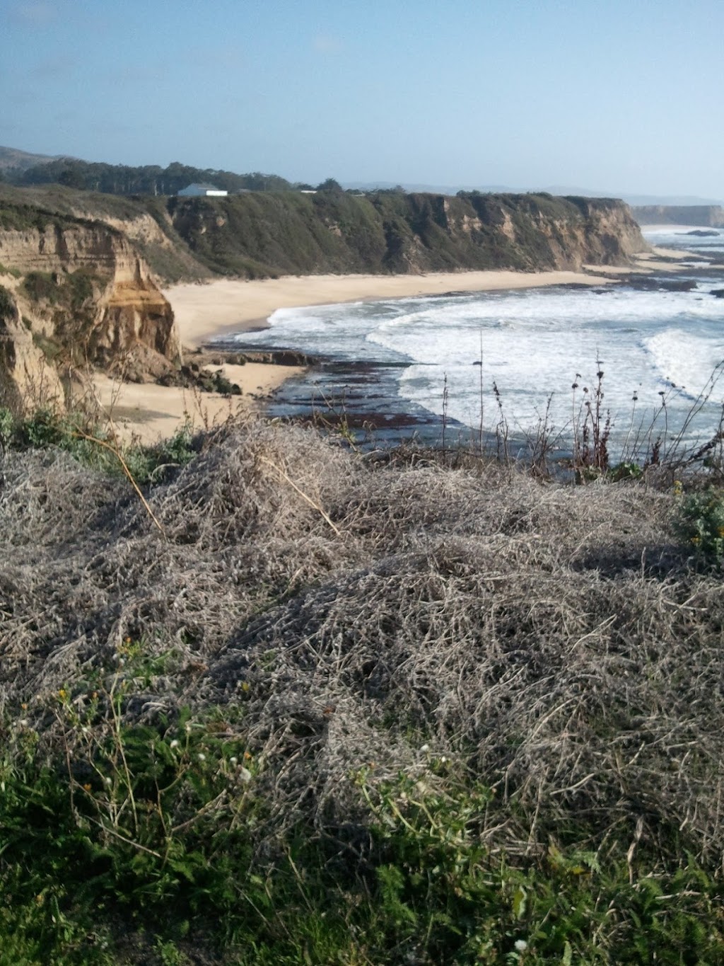 Half Moon Bay Coastside Tours | 225 Cabrillo Hwy S c108, Half Moon Bay, CA 94019, USA | Phone: (650) 720-7050