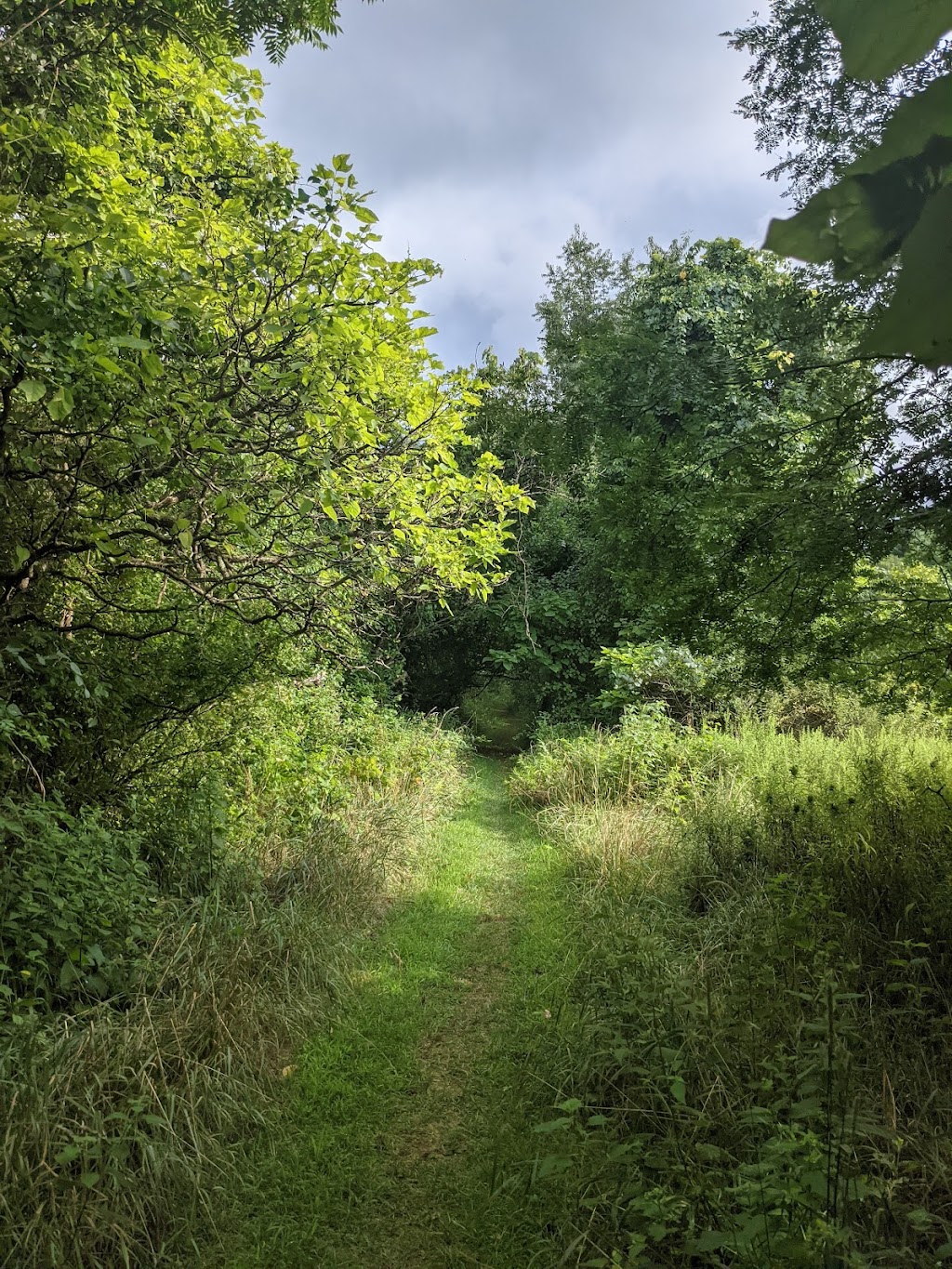 Denison Biological Reserve / Polly Anderson Field Station | 1760 North St NW, Granville, OH 43023, USA | Phone: (740) 587-0810