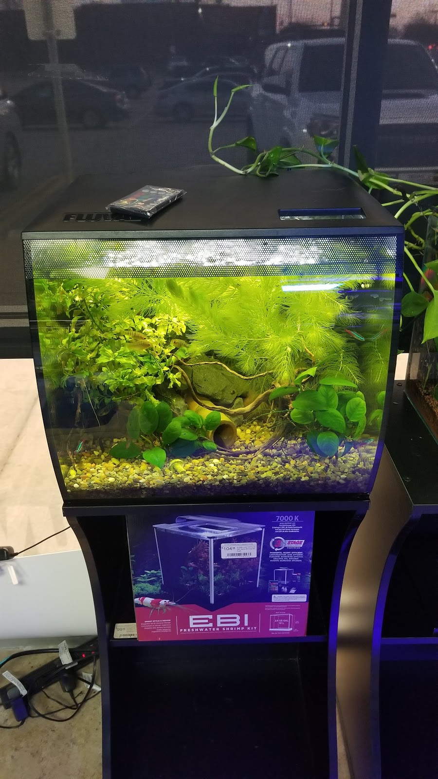 Rift 2 Reef Aquatics | 2250 Justin Rd #116, Highland Village, TX 75077, USA | Phone: (972) 317-2341