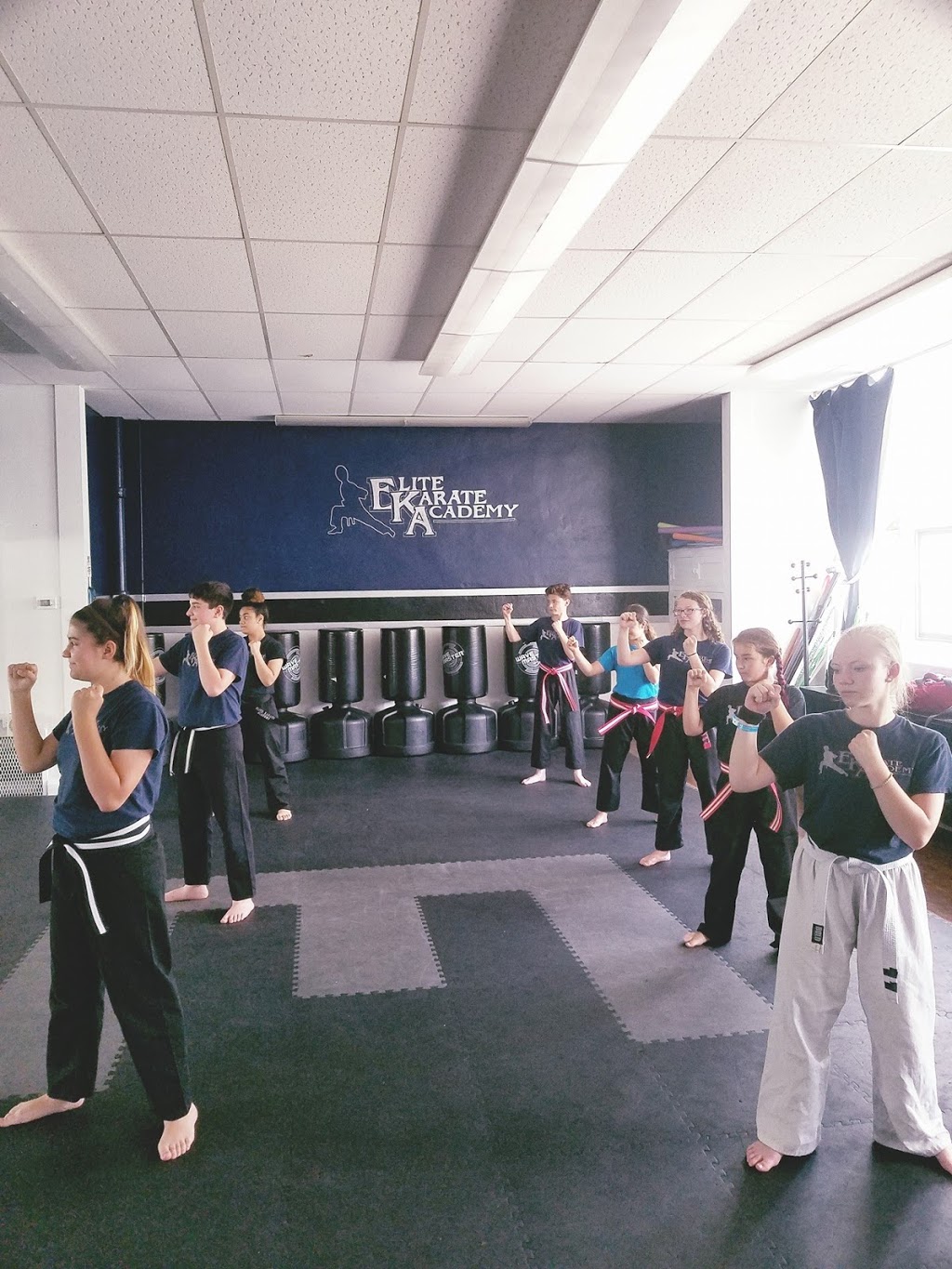 Elite Karate, Fitness, and Wellness | 2525 N Reynolds Rd Ste. 3, Toledo, OH 43615 | Phone: (419) 665-1544