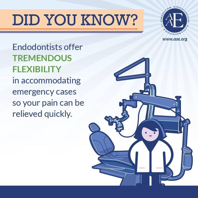 Ogden Endodontics & Microsurgery | 329 Edwin Dr Suite 200, Virginia Beach, VA 23462, USA | Phone: (757) 499-9839
