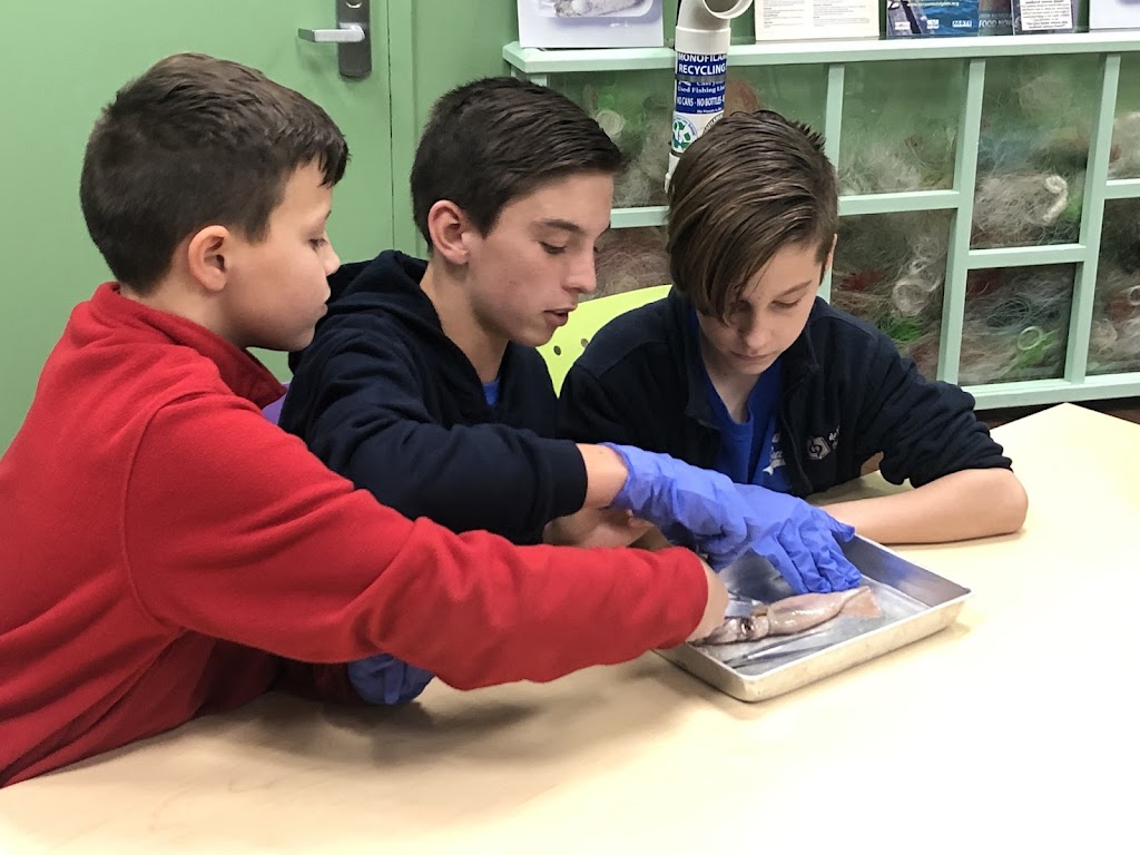 Depaul School For Dyslexia | 2747 Sunset Point Rd, Clearwater, FL 33759, USA | Phone: (727) 796-7679