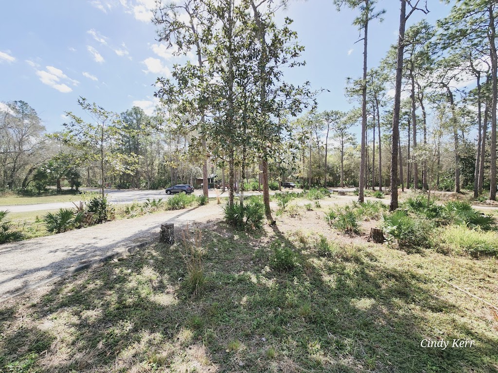 Jay B. Starkey Wilderness Park | 10500 Wilderness Park Blvd, New Port Richey, FL 34655, USA | Phone: (727) 834-3247