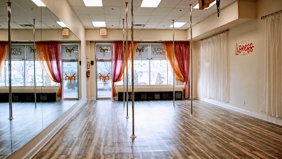 Lovely Lioness Pole Dance & Aerial Fitness | 86 Morris Ave, Neptune City, NJ 07753, USA | Phone: (800) 336-1928