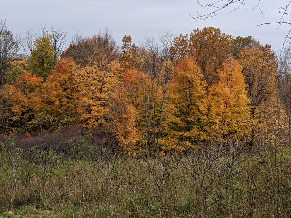 Wisconsin DNR | 3544 Kettle Moraine Rd, Hartford, WI 53027, USA | Phone: (262) 670-3400