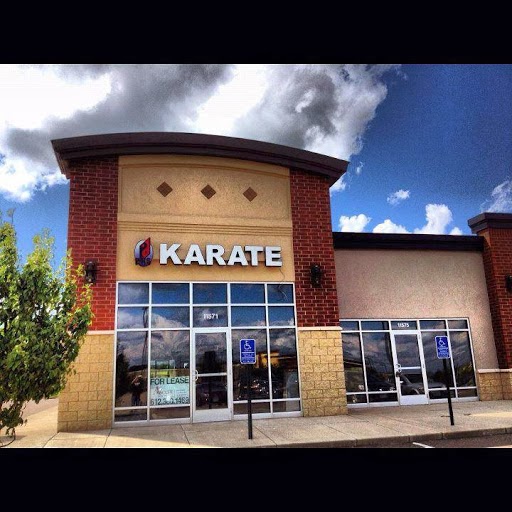 Professional Karate Studios | 11571 Theatre Dr N, Champlin, MN 55316, USA | Phone: (763) 208-4008
