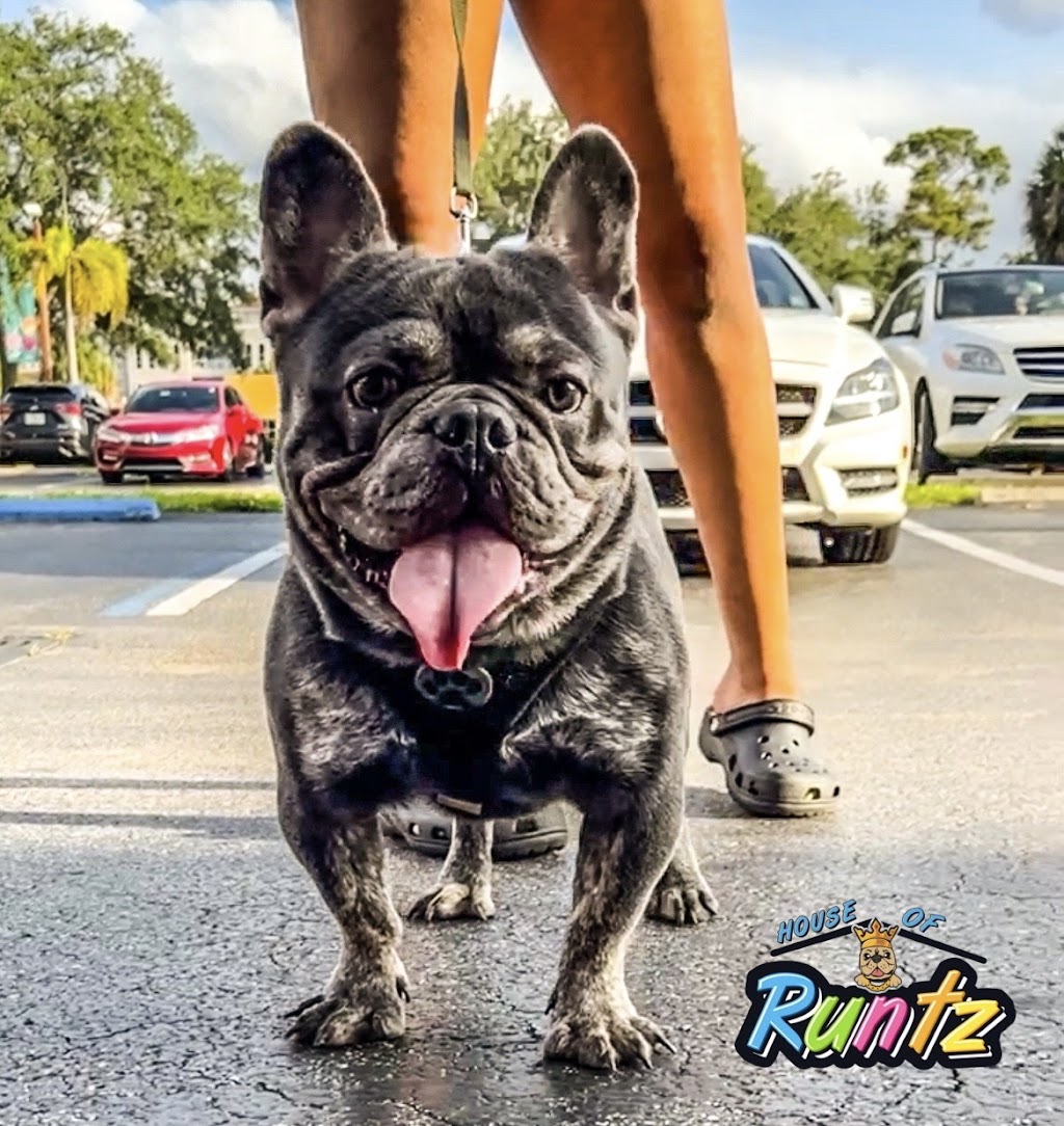 The House of Runtz | 6863 W Commercial Blvd, Tamarac, FL 33319, USA | Phone: (954) 839-6063