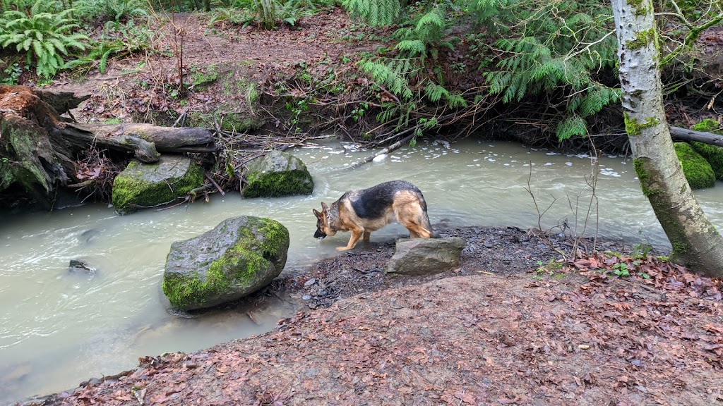 Jordan Woods Natural Area | Access N end of 107th, N of Cornell, Portland, OR 97229, USA | Phone: (503) 645-6433