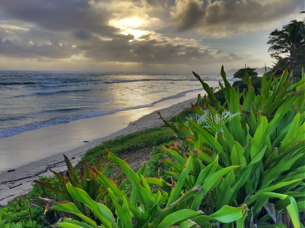 Laie Beach Retreat | 55-639 Kamehameha Hwy, Laie, HI 96762, USA | Phone: (808) 735-7535