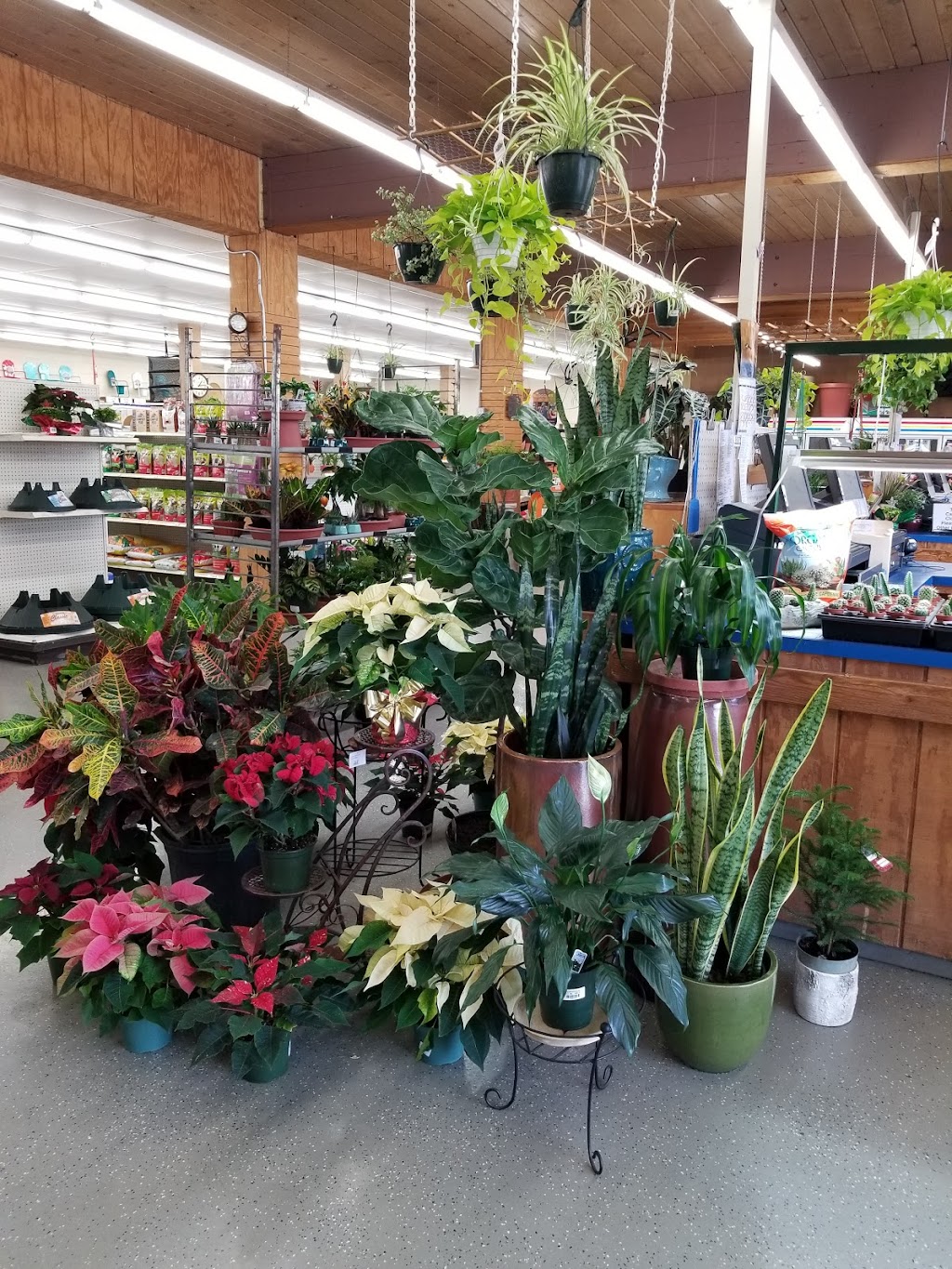 Jung Garden Center | 335 S High St, Randolph, WI 53956 | Phone: (800) 297-3123