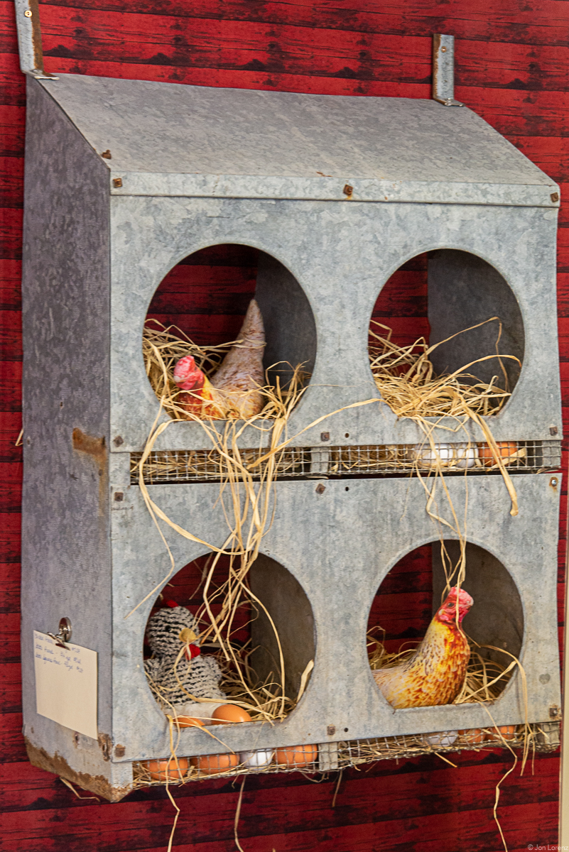 The Sassy Farm Chicks Quilt Company | 203 W Beloit St, Orfordville, WI 53576, USA | Phone: (608) 921-3466 The Sassy Farm Chicks Quilt Company | 203 W Beloit St, Orfordville, WI 53576, USA | Phone: (608) 921-3466