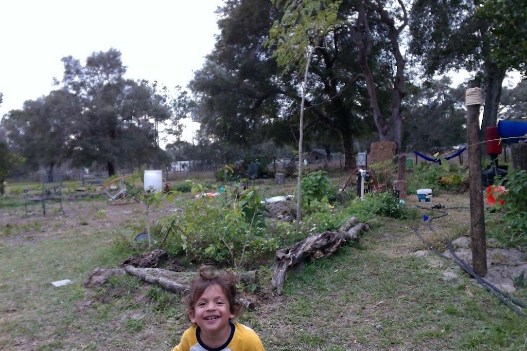 OGFit Natural Health and Fitness | 10090 SE 110th Ave, Ocala, FL 34472, USA | Phone: (954) 654-8419