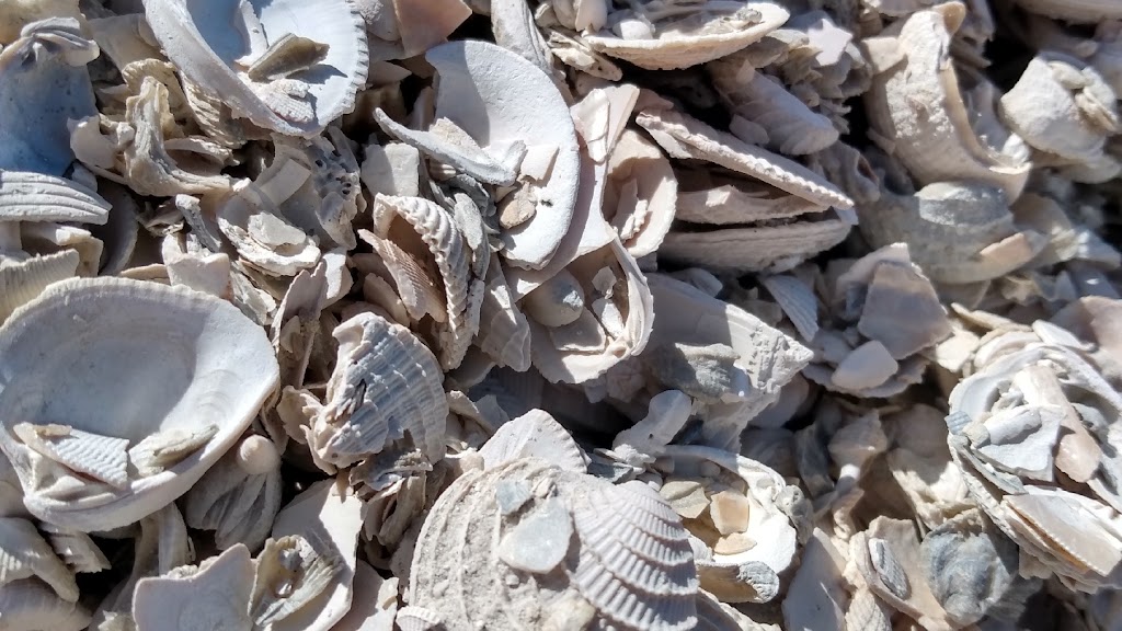 Seamont Ventures Coquina Supply | 550 S Holmes Blvd, St. Augustine, FL 32084, USA | Phone: (904) 824-5886