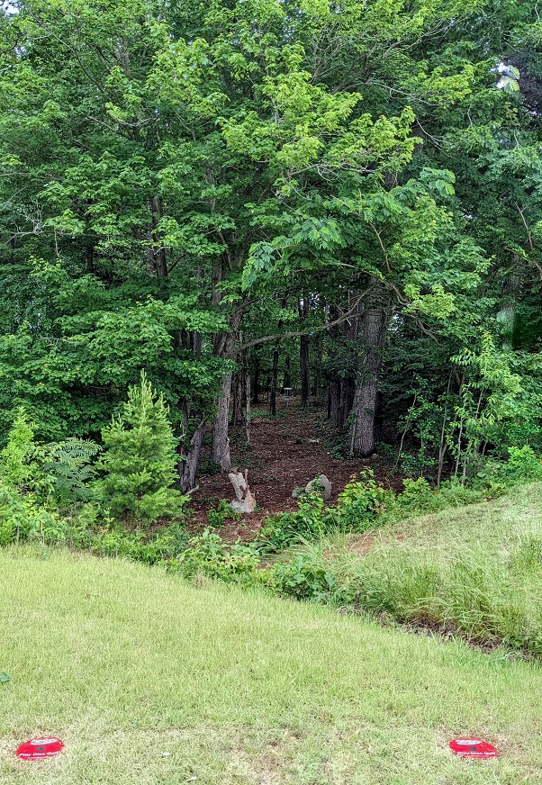 Rec Aces Disc Golf Course | 136 Rec Acres Lane, King, NC 27021, USA | Phone: (336) 985-1115