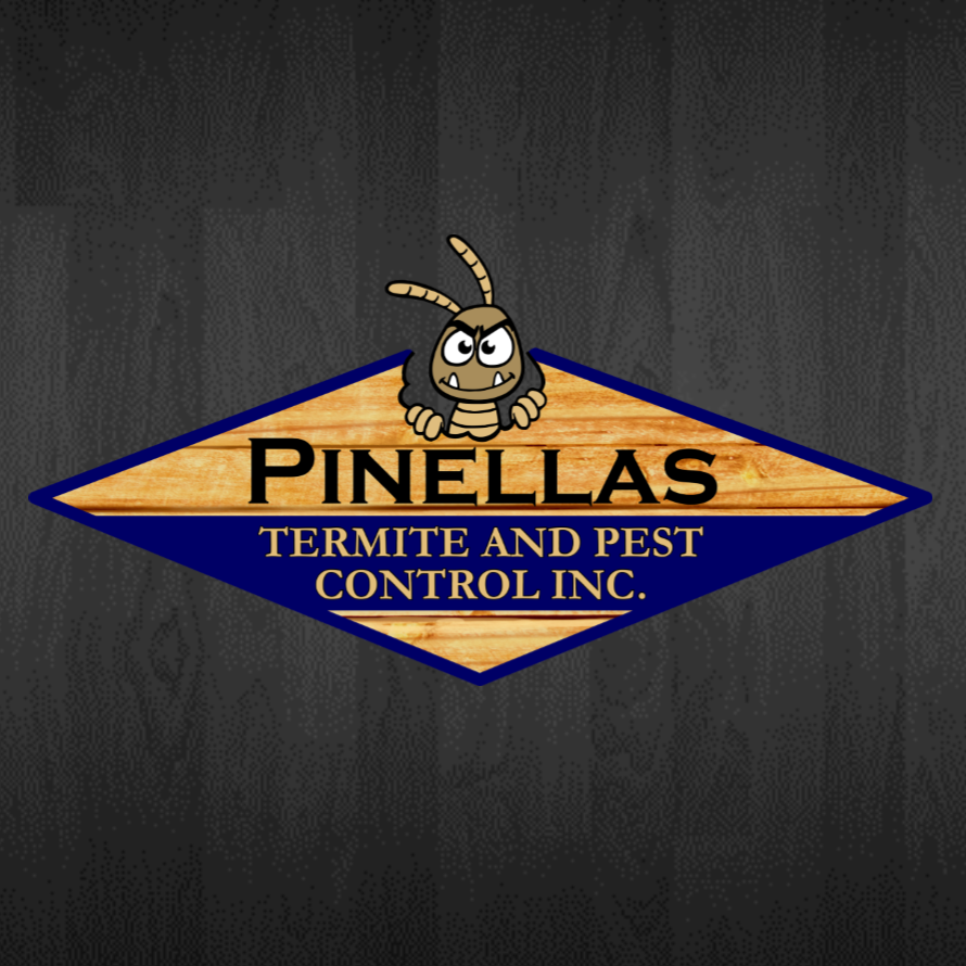 Pinellas Termite and Pest Control Inc. | 12353 91st Terrace, Seminole, FL 33772, USA | Phone: (727) 488-4868