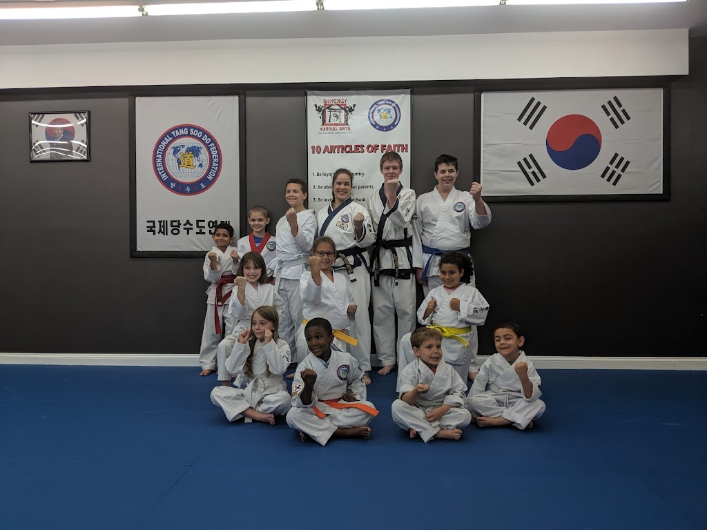 Synergy Dojang | 1015 Generals Hwy Suite A, Crownsville, MD 21032, USA | Phone: (443) 892-3337