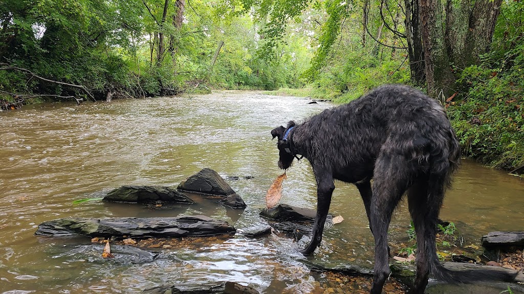 Silver Creek, John Stephenson Trail | Berea, KY 40403, USA | Phone: (859) 985-3000