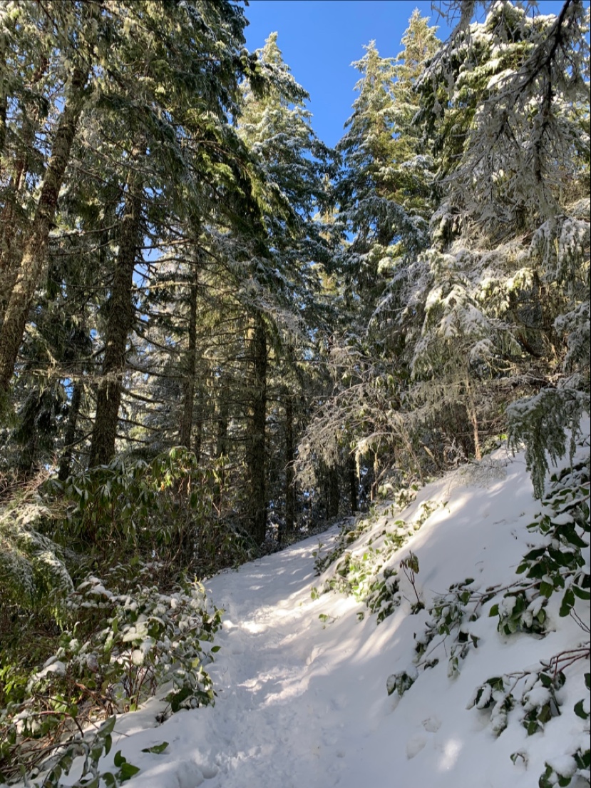 Mt. Walker Lower Trailhead | Quilcene, WA 98376, USA | Phone: (360) 765-2200