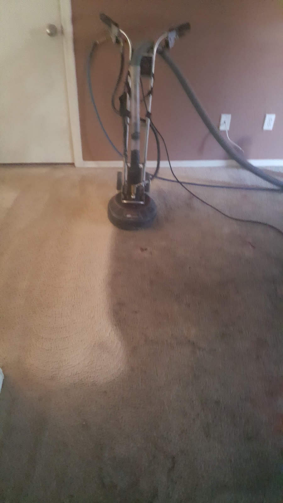 Power Carpet Cleaning | 1056 S Revere, Mesa, AZ 85210, USA | Phone: (480) 430-5269