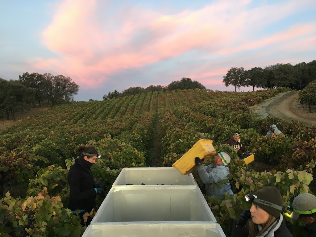 Yorba Wine Tasting | 51 Hanford St, Sutter Creek, CA 95685, USA | Phone: (209) 267-8190