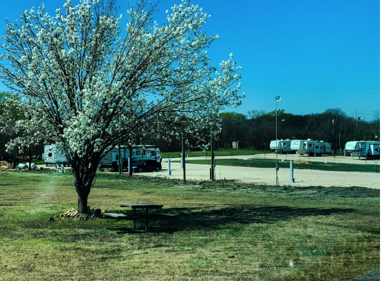 Flying Pig RV Park | 13537 Brett Jackson Rd, Fort Worth, TX 76179 | Phone: (972) 677-3778