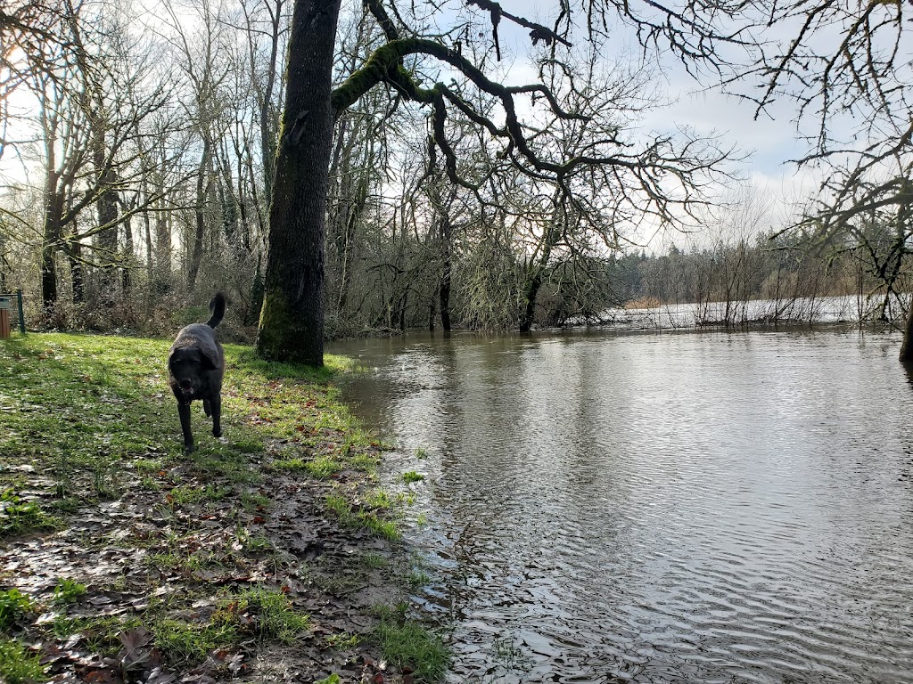 Spongs Landing County Park | 6525 22nd Ave N, Keizer, OR 97303, USA | Phone: (503) 588-5036