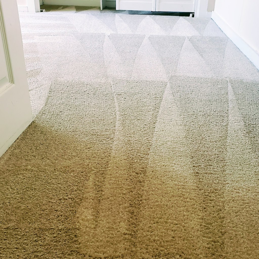 Team Revved Up Carpet and Tile Cleaning | 34504 Wright Rd, Pinehurst, TX 77362, USA | Phone: (832) 422-7455