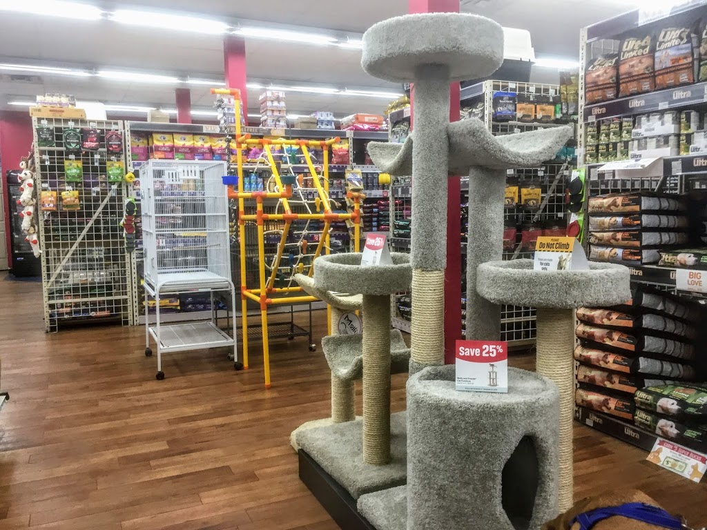 Pet Supermarket | 2111 N Federal Hwy, Hollywood, FL 33020, USA | Phone: (954) 925-1240