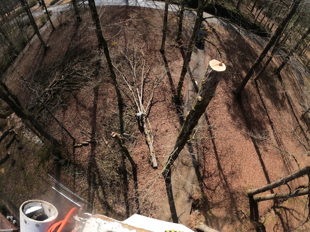 SIAC LLC | 709 Hampton Park Dr, Vestavia Hills, AL 35216, USA | Phone: (205) 667-2568