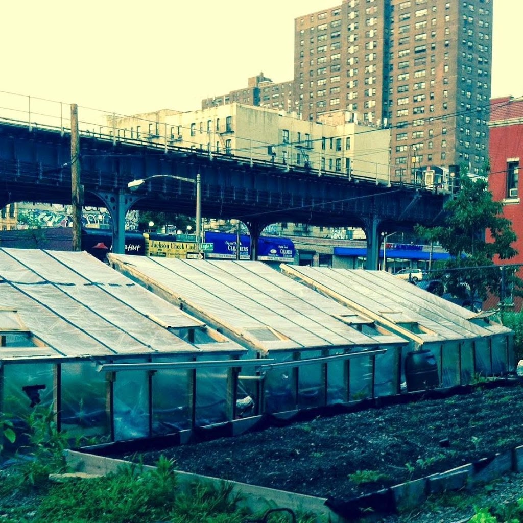 Eagle Slope Community Garden | 582 Westchester Ave, The Bronx, NY 10455, USA | Phone: (212) 639-9675