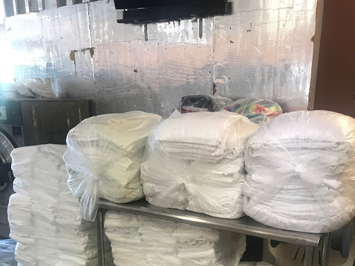 Tangerine Wash House | 3101 18th Ave S, St. Petersburg, FL 33712, USA | Phone: (727) 327-7802