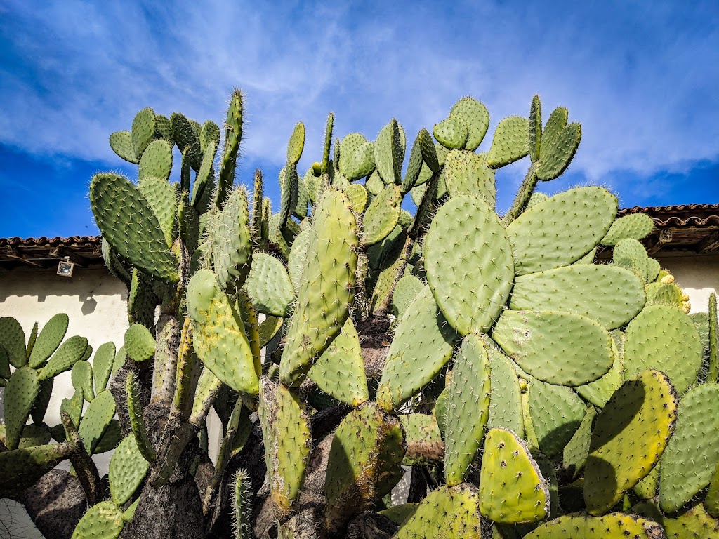 San Juan Bautista State Historic Park | 19 Franklin St, San Juan Bautista, CA 95045, USA | Phone: (831) 623-4881