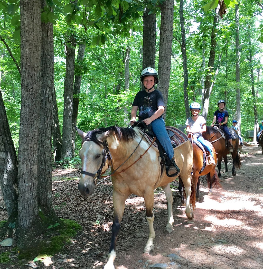 Chestnut Ridge Camp and Retreat Center | 4300 Camp Chestnut Ridge Rd, Efland, NC 27243, USA | Phone: (919) 304-2178