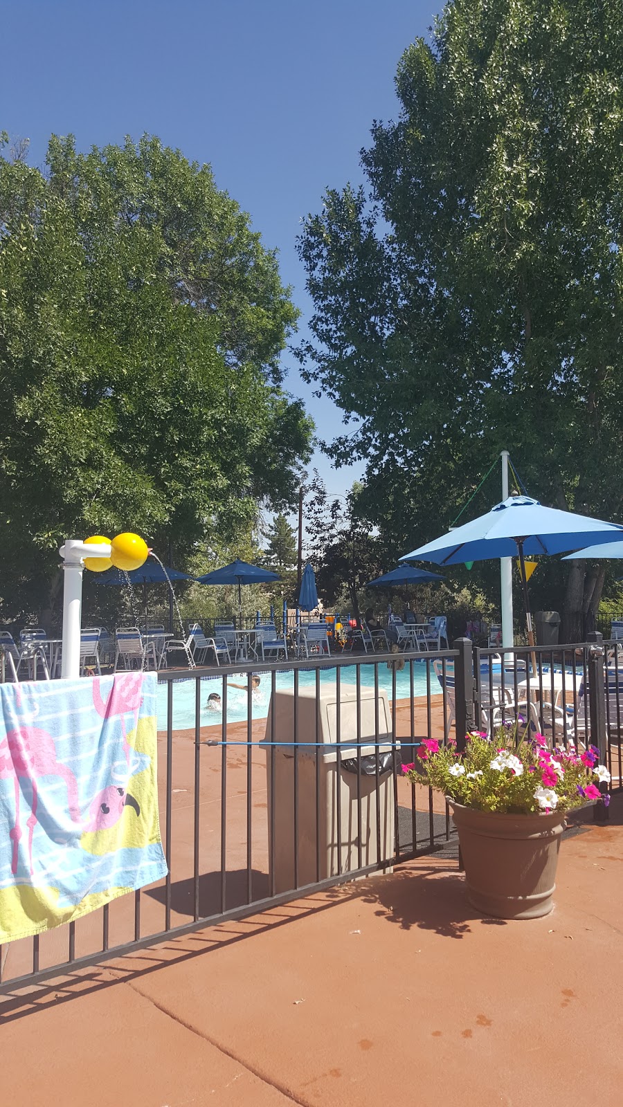 Columbine Knolls Pool | Columbine Knolls Grove Park, 6191 W Plymouth Dr, Littleton, CO 80128, USA | Phone: (303) 979-5120