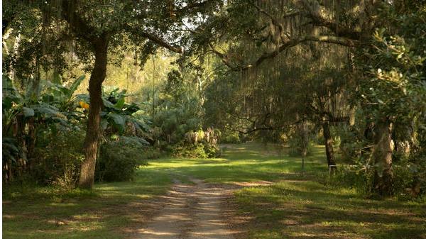 Little Manatee Springs | 4337 Hamlin Way, Wimauma, FL 33598, USA | Phone: (813) 634-2395