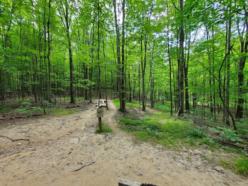 Royalview Mountain Bike Trail (Lower Lot) | Royalview Ln, Strongsville, OH 44136 | Phone: (216) 635-3200