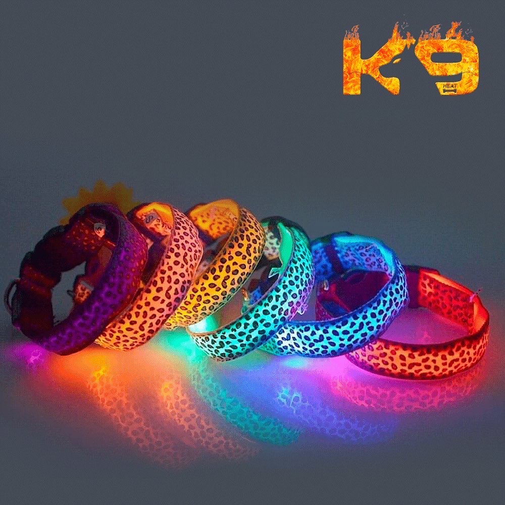 K9 Heat | 50 St Andrews Ct, Lakewood, NJ 08701, USA | Phone: (732) 503-1868