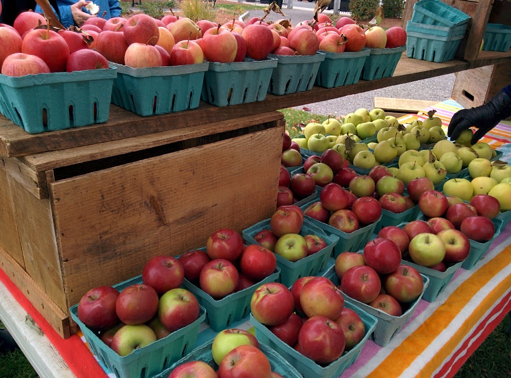 Stoneham Farmers Market | 38-80 Church St, Stoneham, MA 02180, USA | Phone: (781) 438-2193