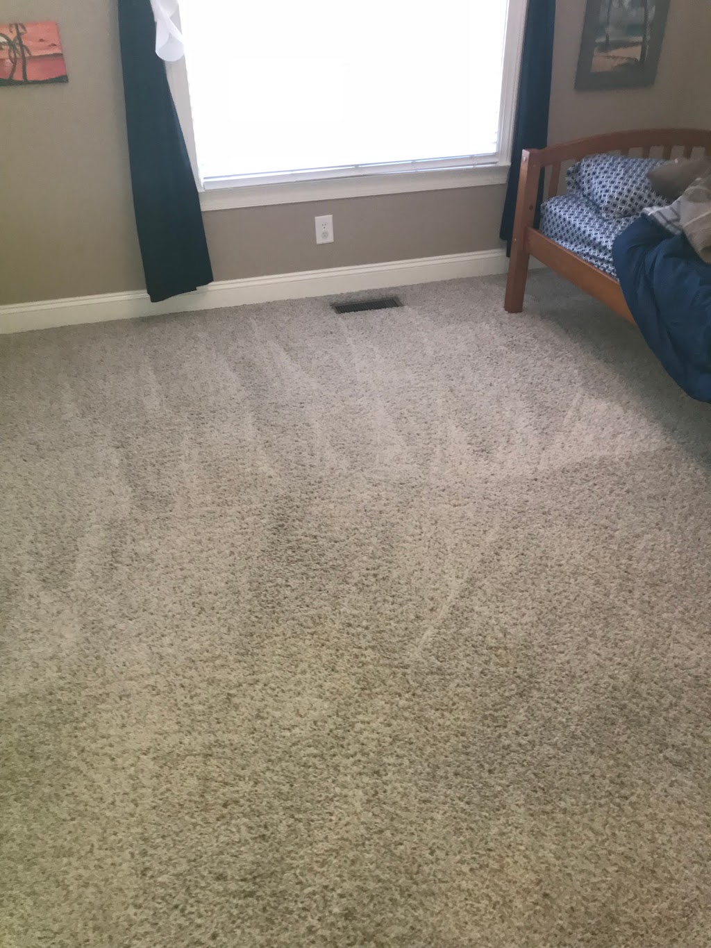 On Demand Carpet Care | 796 Old Eason Rd, Zebulon, NC 27597, USA | Phone: (919) 675-7477