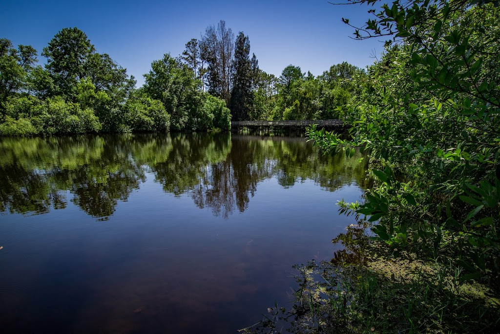 Northdale Lake Park Trail Head | 4417 Northdale Lake Park Trail, Tampa, FL 33624, USA | Phone: (813) 264-3806