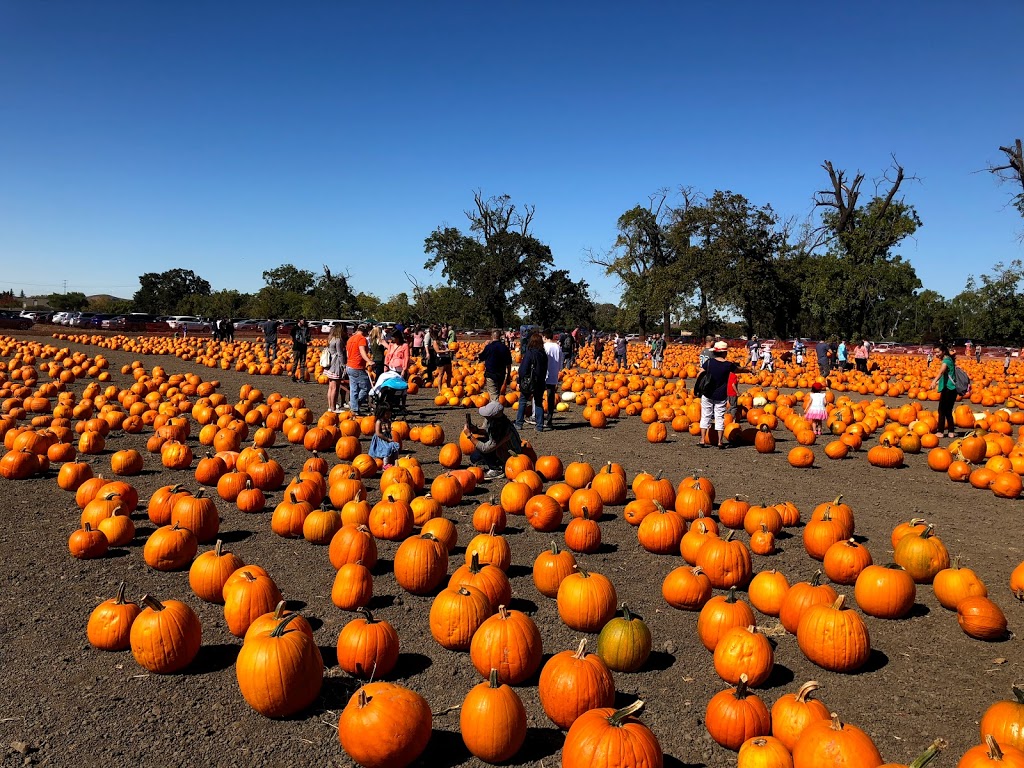 Ardenwood Historic Farm | 34600 Ardenwood Blvd, Fremont, CA 94555, USA | Phone: (510) 544-2797