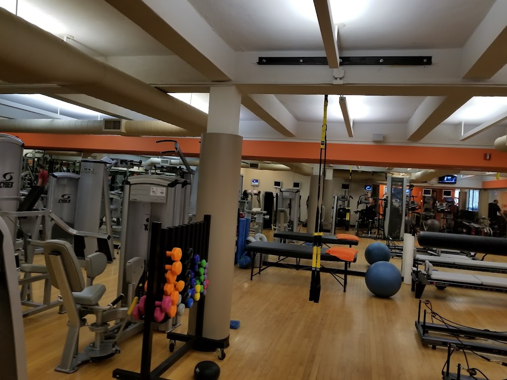 Excel Physical Therapy + Workout | 1482 Northern Blvd, Manhasset, NY 11030, USA | Phone: (516) 627-3009