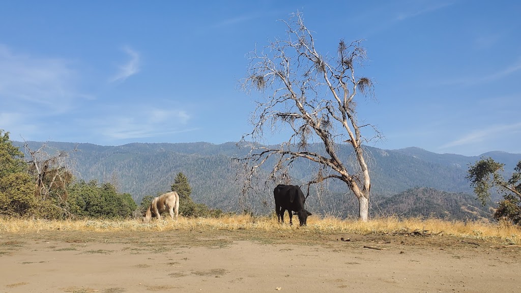 Holey Meadow (recgovnpsdata) | Camp Nelson, CA 93208, USA | Phone: (559) 539-5230