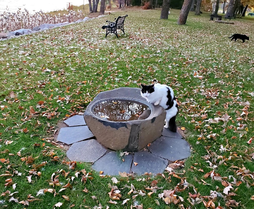 Coverall Stone Inc. | 19050 13th Pl S, SeaTac, WA 98148, USA | Phone: (800) 779-3234