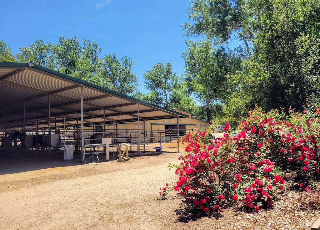 Horse Boarding & Training Murrieta | 43475 Tenaja Rd, Murrieta, CA 92562, USA | Phone: (951) 288-0521