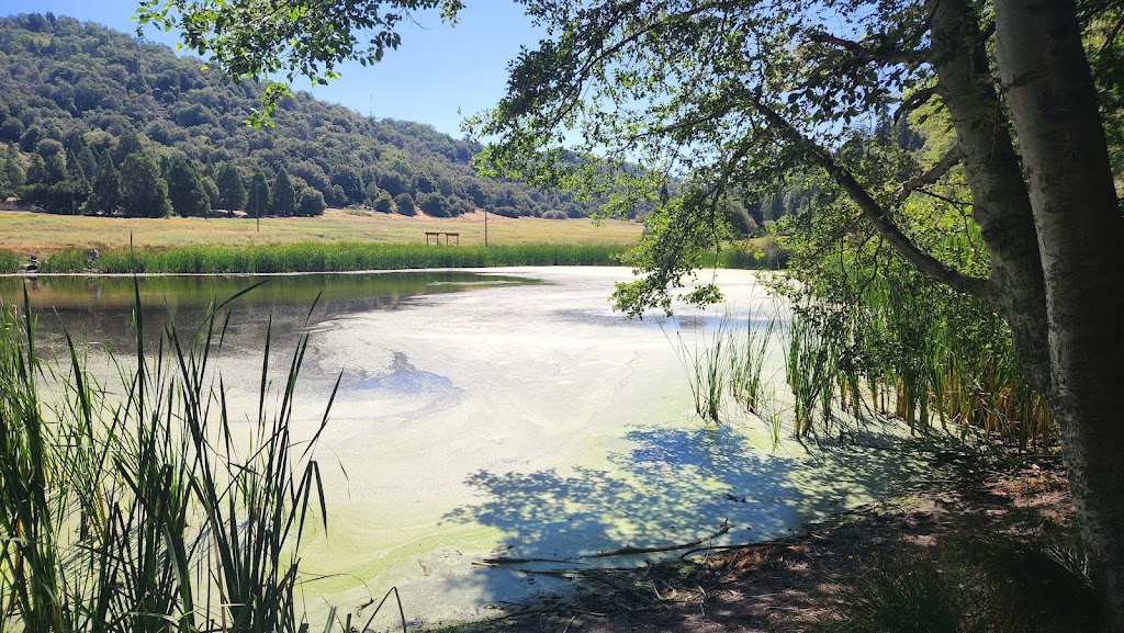 Palomar Mountain State Park | 19952 State Park Drive, Palomar Mountain, CA 92060, USA | Phone: (760) 742-3462